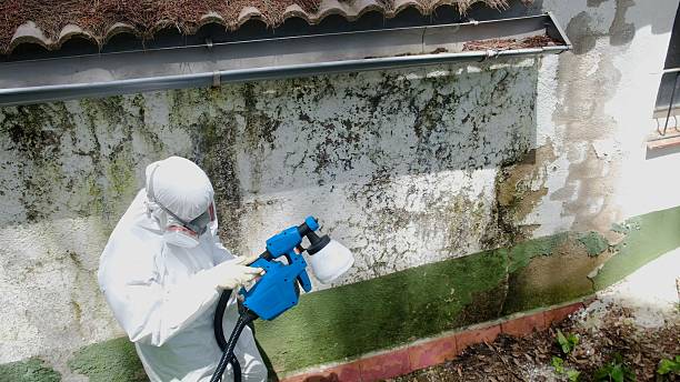 Trusted Commercial Mold Remediation service in McSherrystown, PA - Cheap Mold Removal
